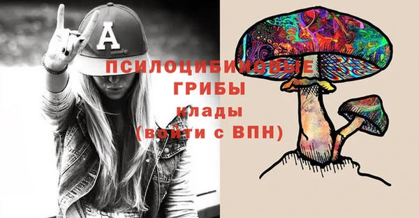 молекула духа Новокубанск